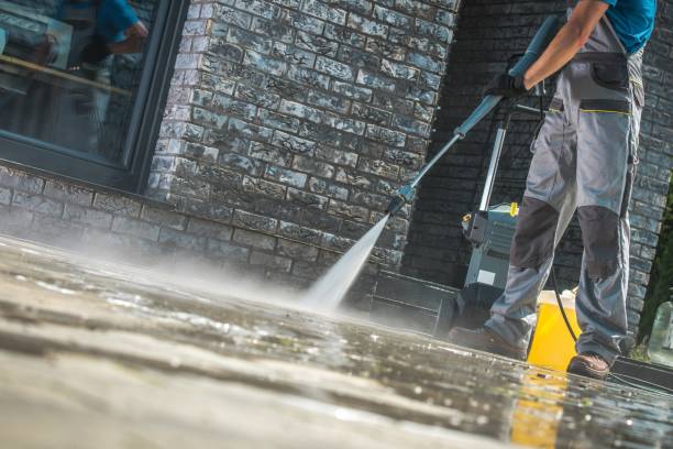 Best Fleet Vehicle Washing  in Ruskin, FL