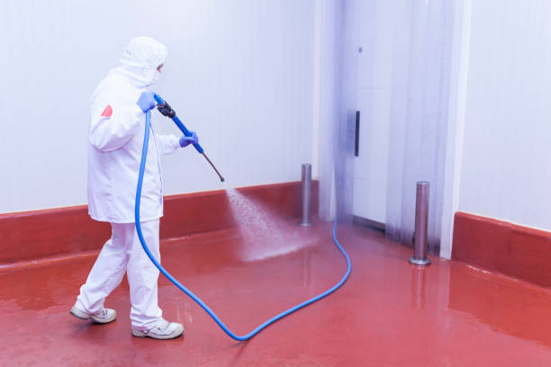 Best Pool Deck Cleaning  in Ruskin, FL