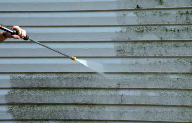 Best Sidewalk and Walkway Cleaning  in Ruskin, FL